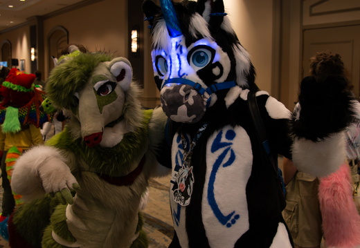 Texas Furry Fiesta - 2025