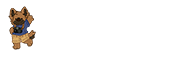 PhoenixNet-Labs Photography